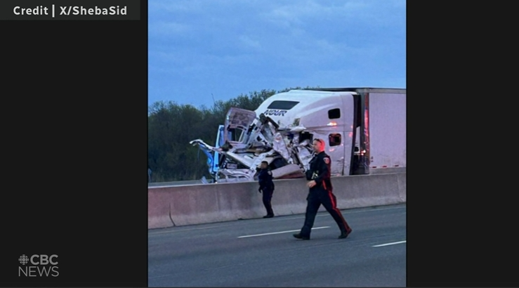 全网怒炸！多伦多印度男子被抓了放3次！打劫后Hwy401逆行4人撞死！只判5.5个月