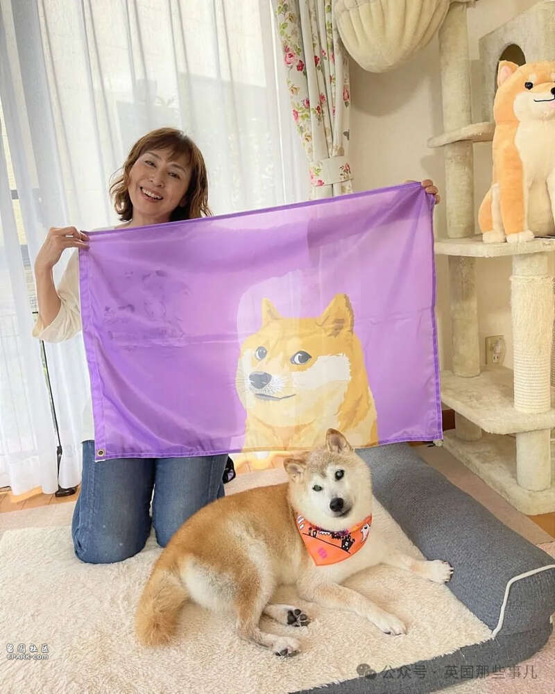 再见!最火狗狗走了永远留在所有人的表情包里(组图) - 综合新闻- 加拿大新闻- 约克论坛